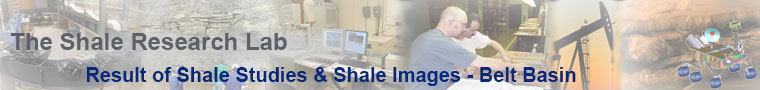 banner for Results of shale studies - the belt basin