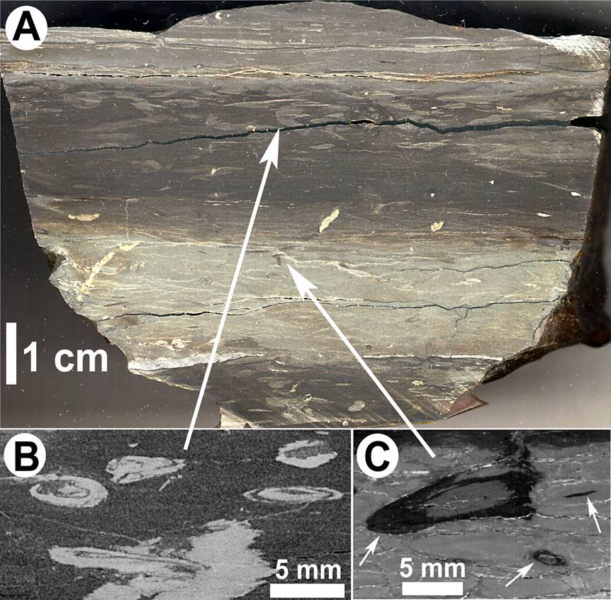 summary image of mantle and swirl traces in shales