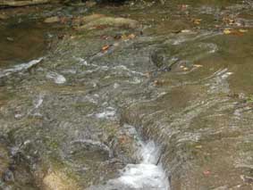 tufa travertine rapids microbial biostromes