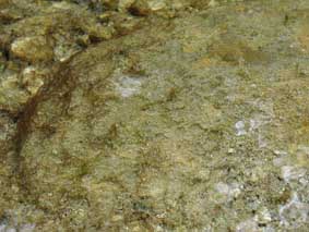 low relief mat on boulder