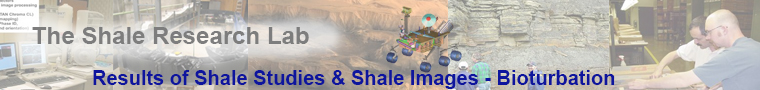 banner for bioturbation studies in black shales