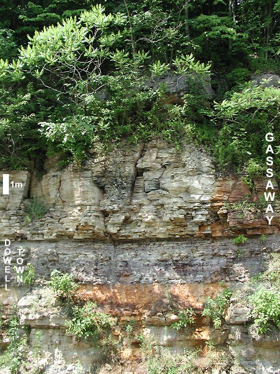 Chattanooga Shale near Flynn Creek crater
