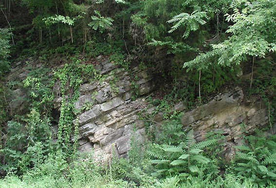 Flynn Creek crater interior