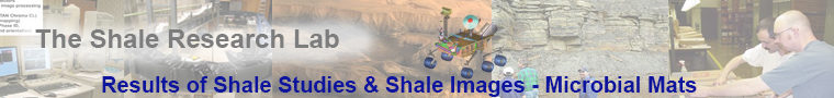 shale studies - microbial mat aspects