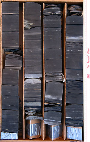 picture of drill core