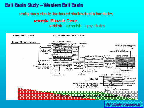 image of facies schamtic for red and green shales of the western belt basin