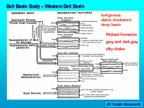 image of facies schematic for basal part of western belt basin