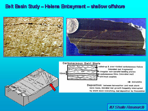 summary image of shallow offshore shales in eastern belt basin