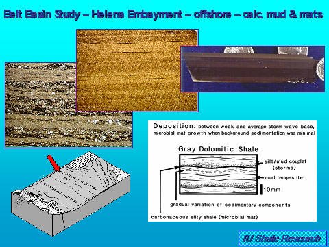 summary image of offshore mudstone facies - eastern belt basin