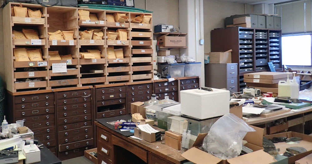 picture of shale collection