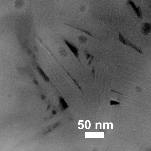 TEM image of shale